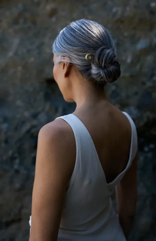 Addie Chignon Pin