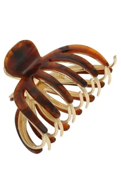 Aruba Jaw