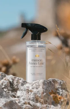 French Multi-Surface Spray Cleaner